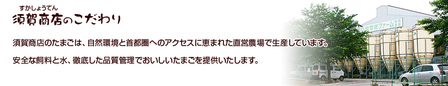 「須賀商店のこだわり」須賀商店のたまごは、自然環境と首都圏へのアクセスに恵まれた直営農場で生産しています。安全な飼料と水、徹底した品質管理でおいしいたまごを提供いたします。